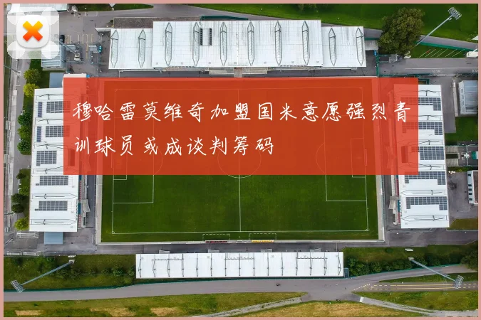 穆哈雷莫维奇加盟国米意愿强烈青训球员或成谈判筹码